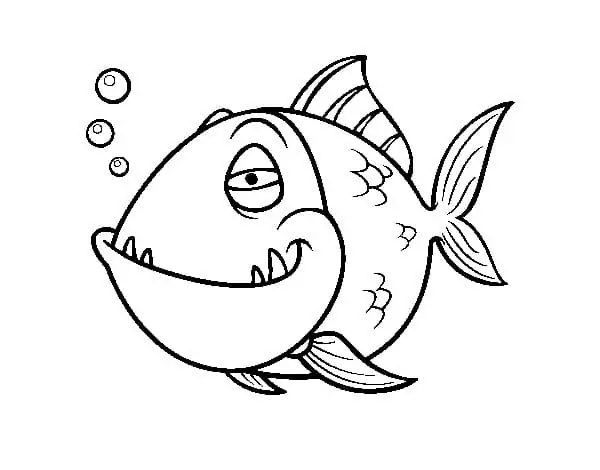 Piranha Smiling