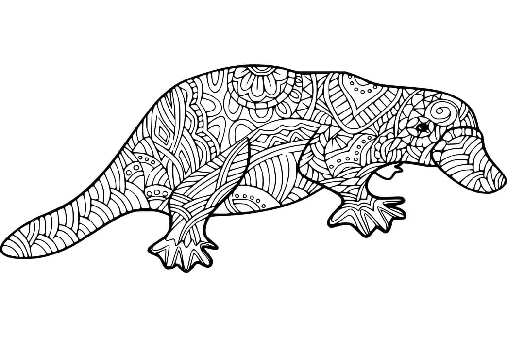 Platypus Zentangle Coloring Page - Free Printable Coloring Pages for Kids