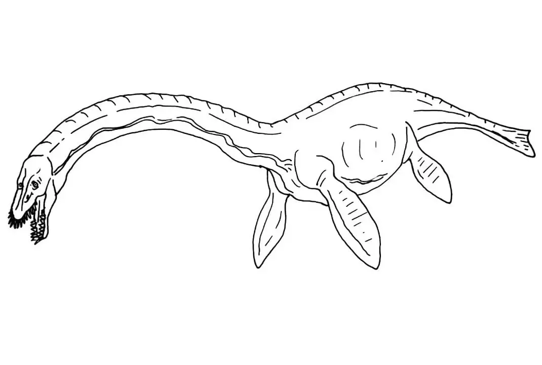 Plesiosaurus 4