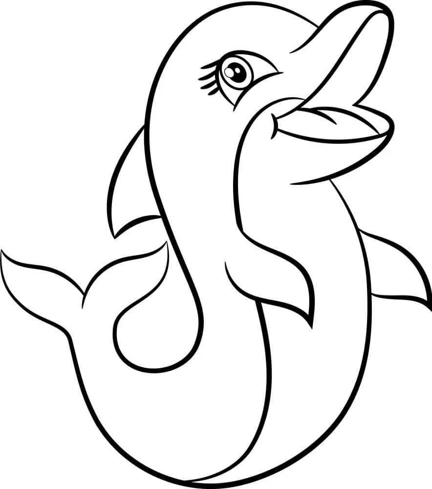 Pretty Dolphin