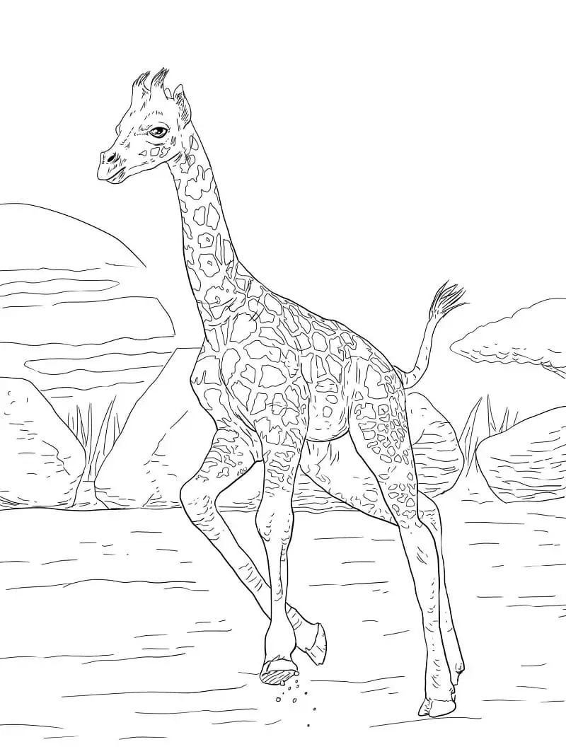 Print Giraffe