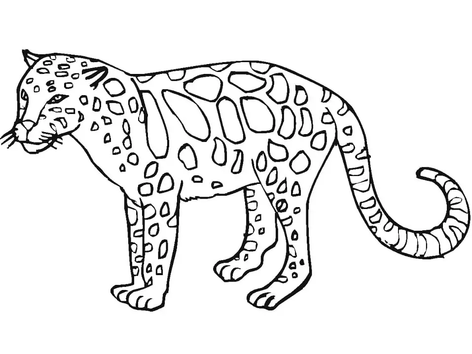 Print Leopard