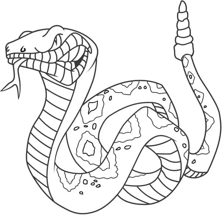 Print Snake