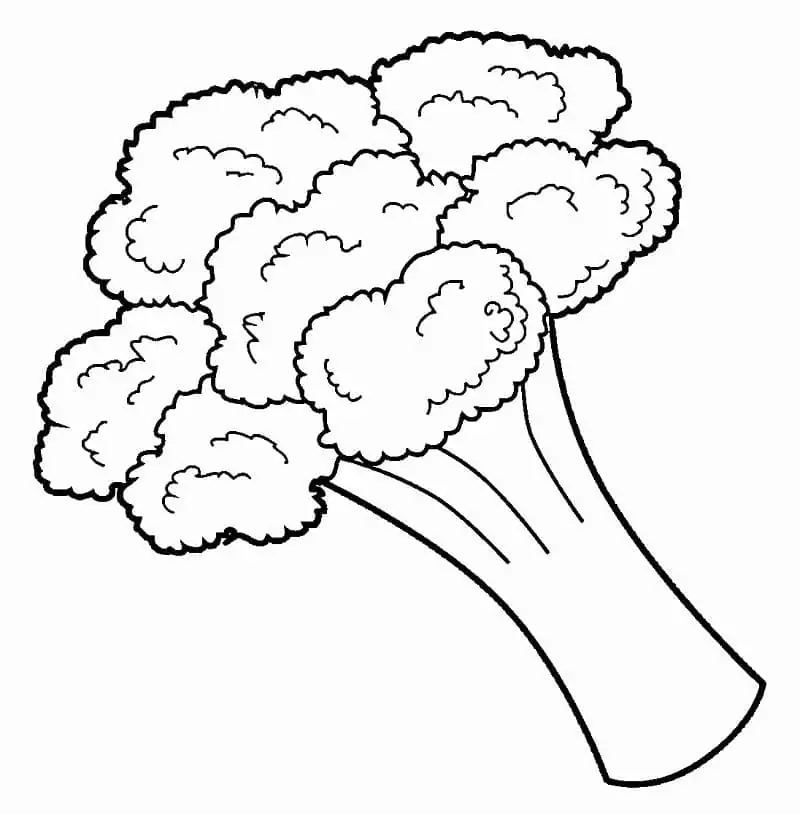 Printable Broccoli