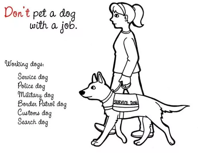 Printable Dog Safety