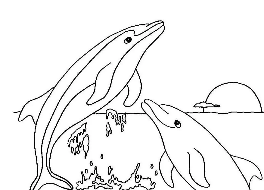 Printable Dolphins