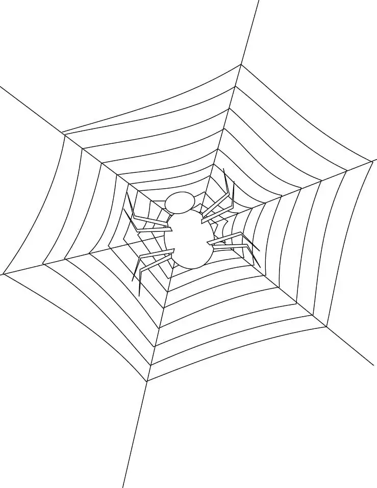 Printable Easy Spider