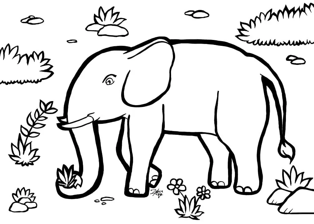 Elefant zum Ausdrucken