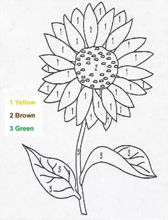 Printable Flower Color by Number
