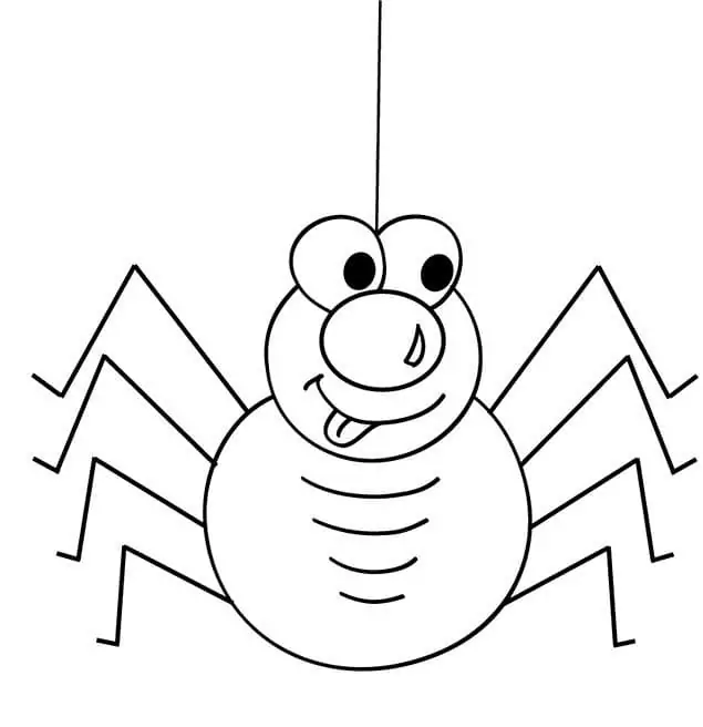 Printable Funny Spider