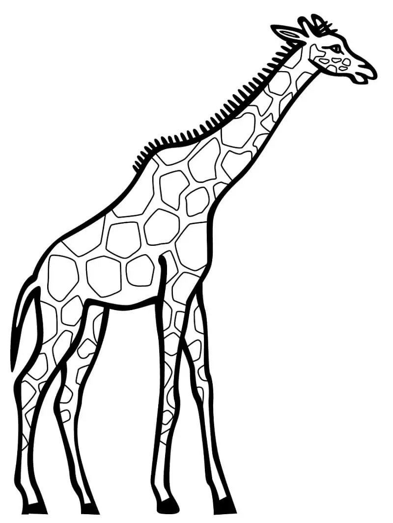 Druckbare Giraffe