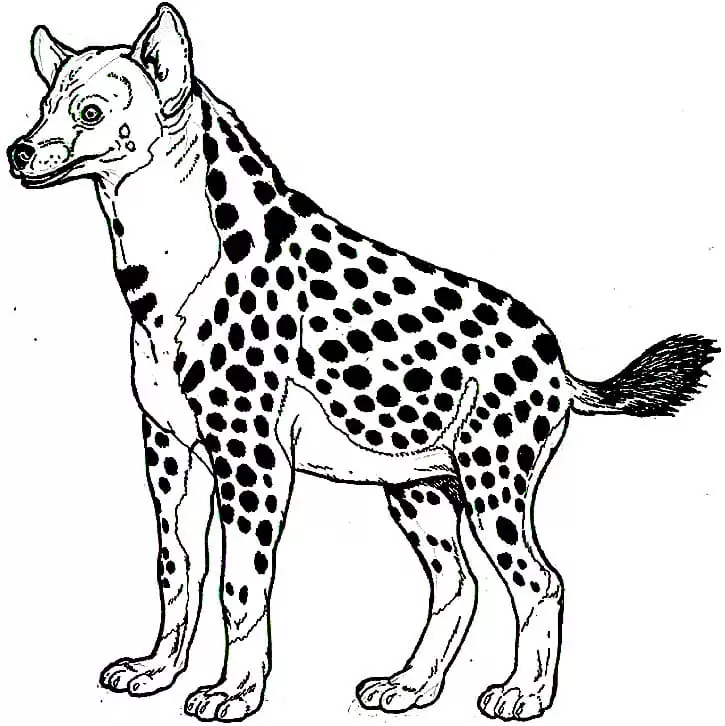 Printable Hyena
