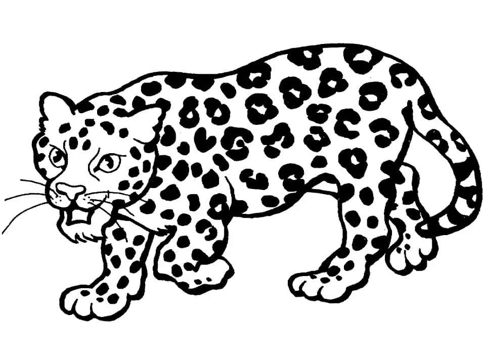 Printable Leopard