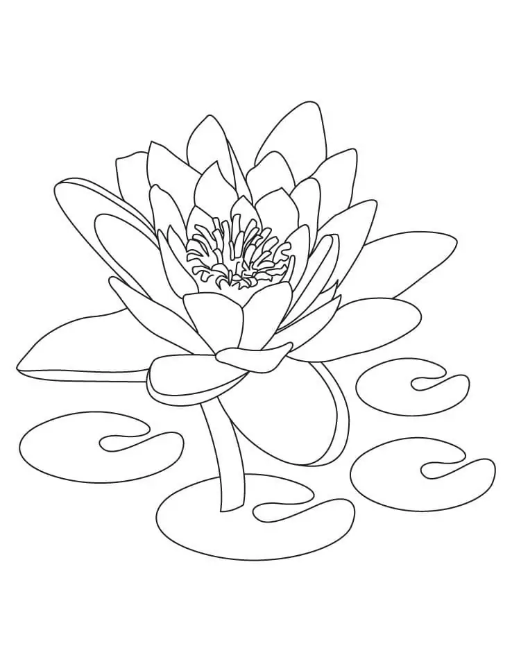 Druckbarer Lotus