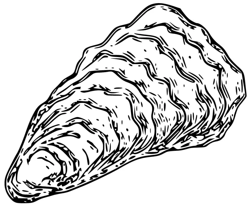 Printable Oyster