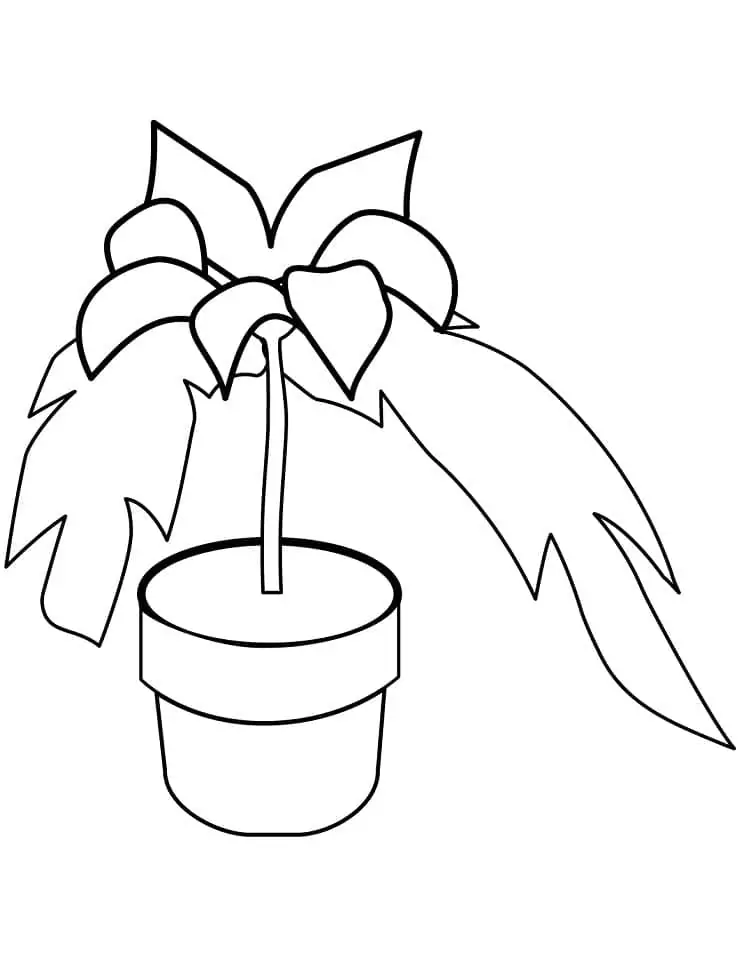Printable Poinsettia in a Pot