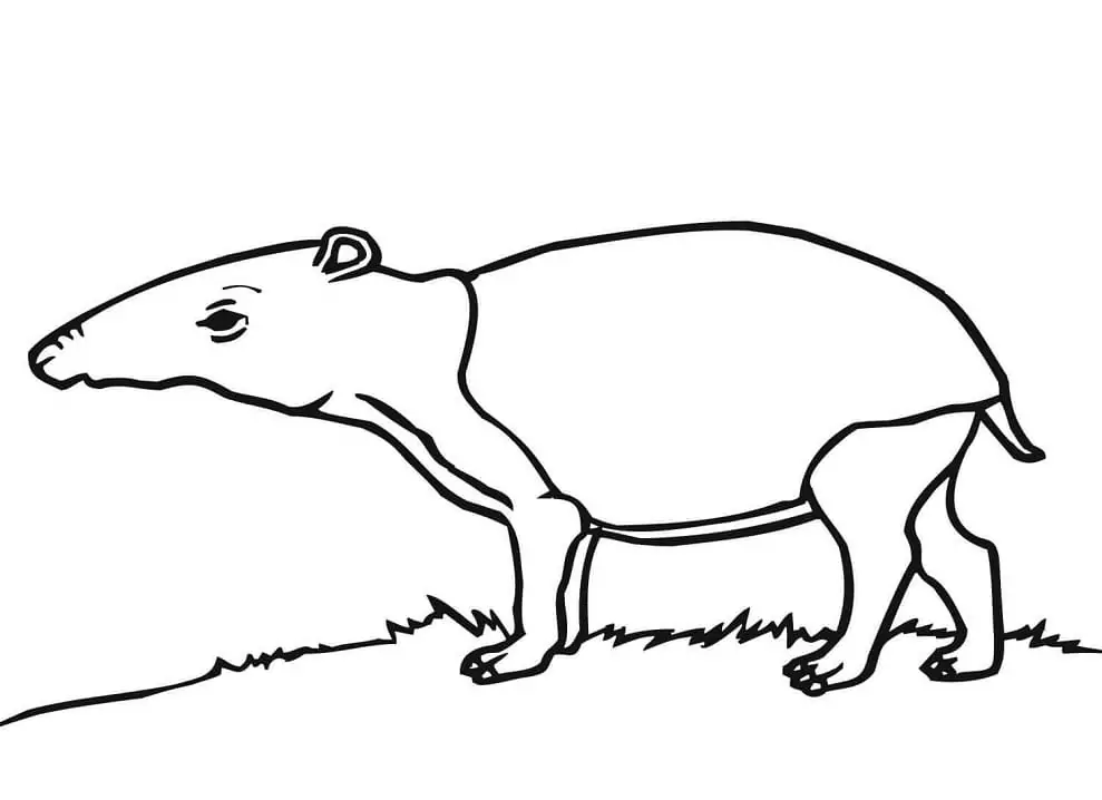 Printable Tapir