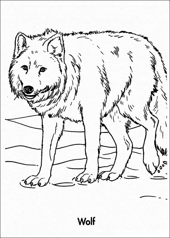 Printable Wolf