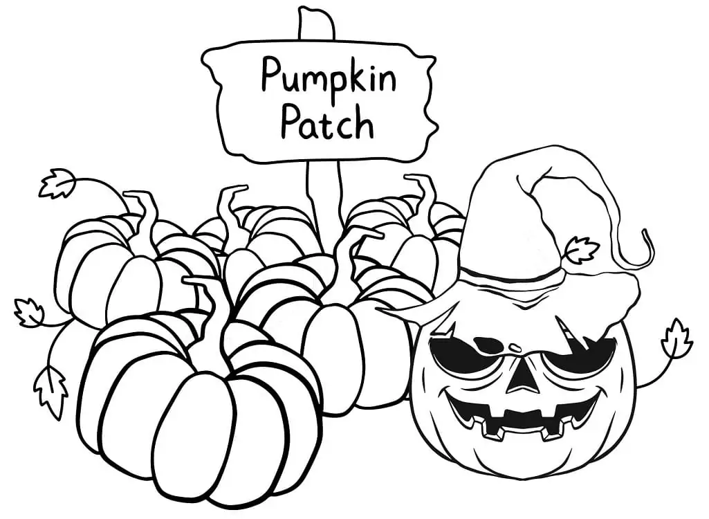 Pumpkin Patch 2