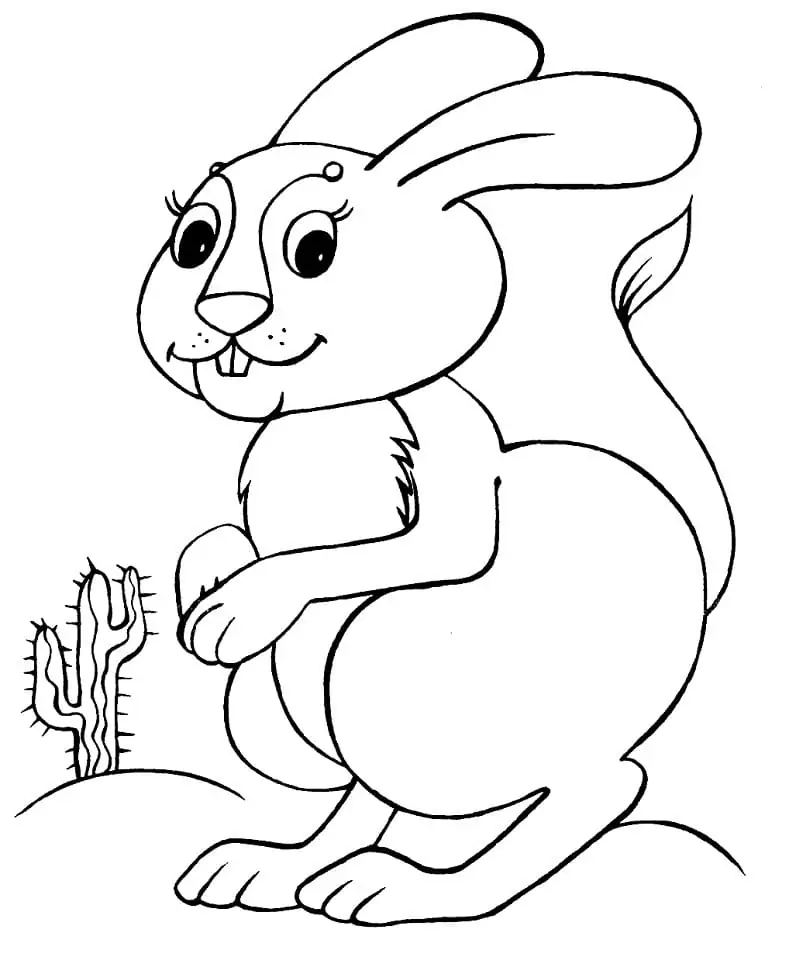 Kaninchen und Kaktus