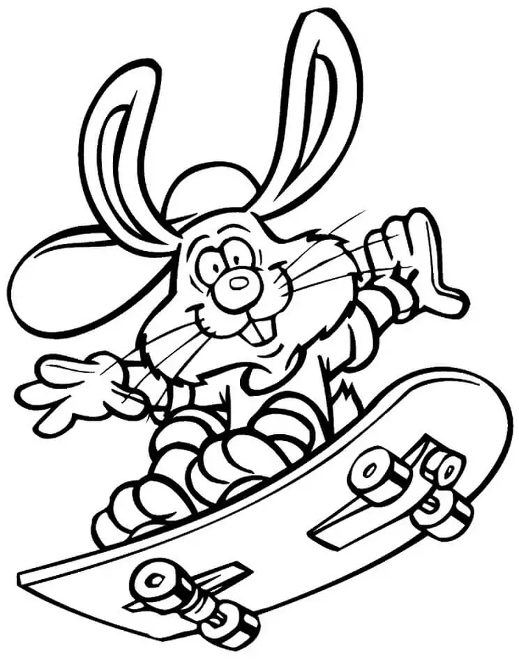 Rabbit on Skateboard