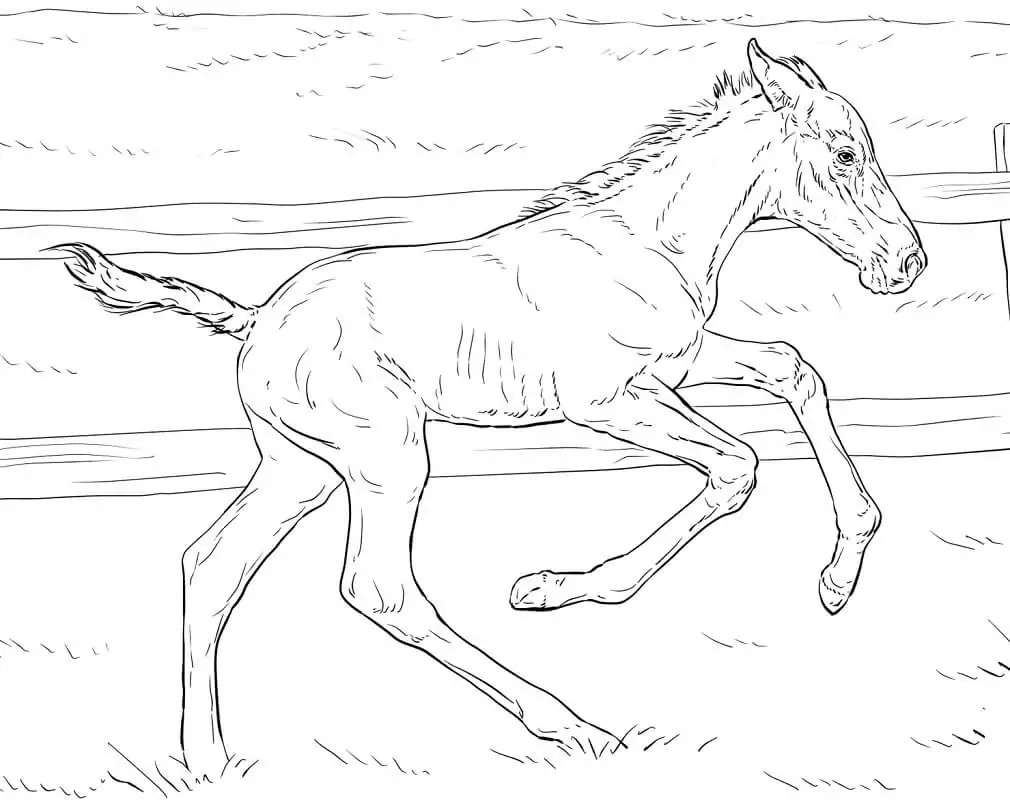 Realistic Bucking Foal