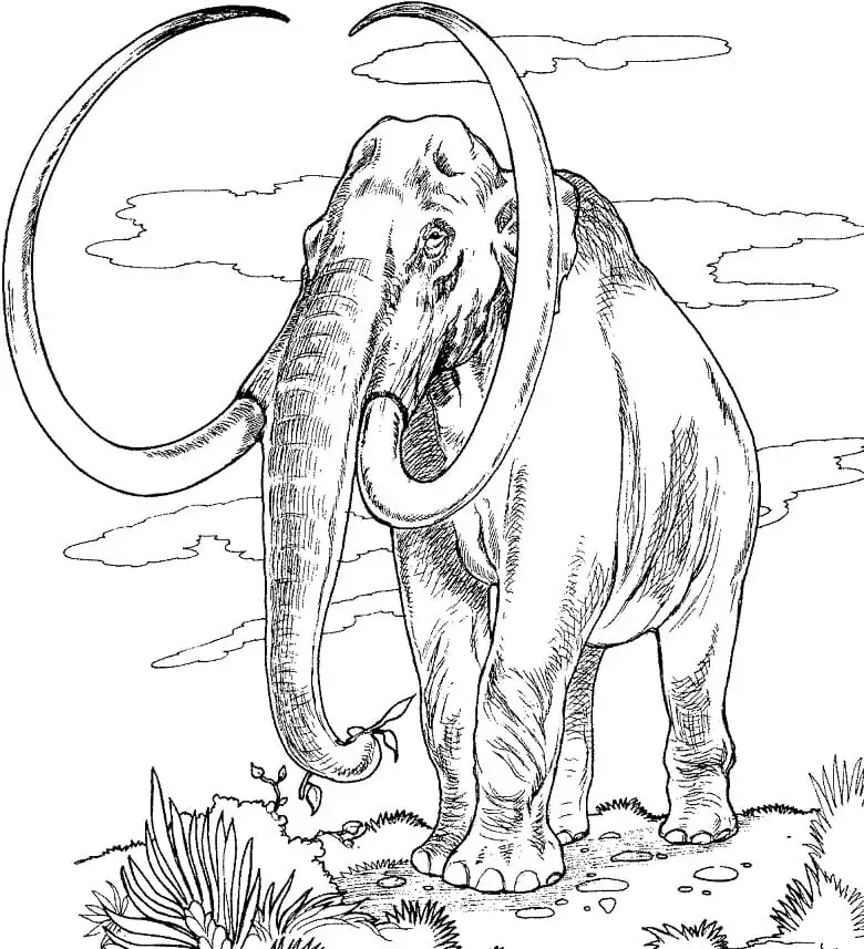 Mammoth - Coloring Pages