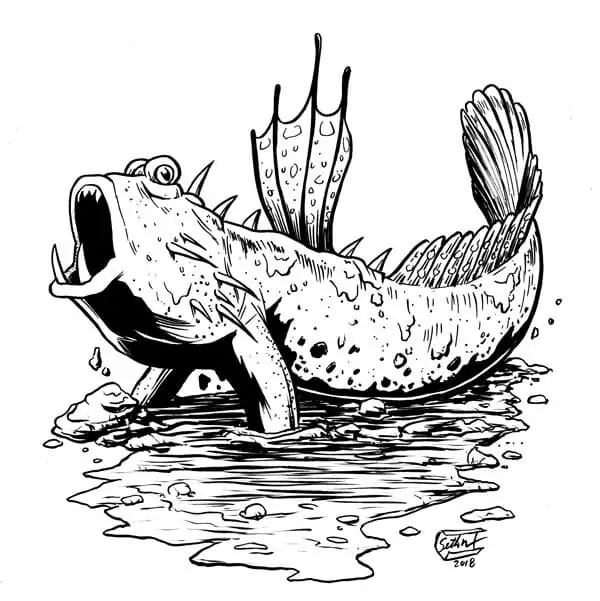 Realistic Mudskipper