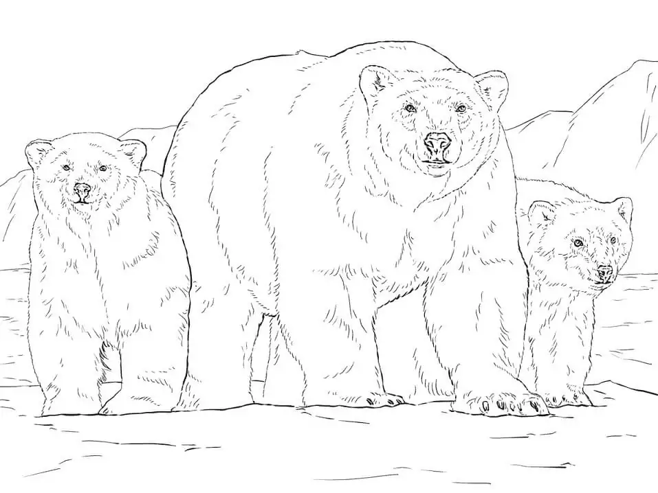 Realistic Polar Bears