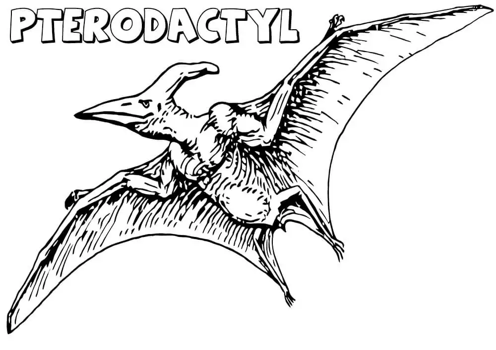 Realistic Pterodactyl