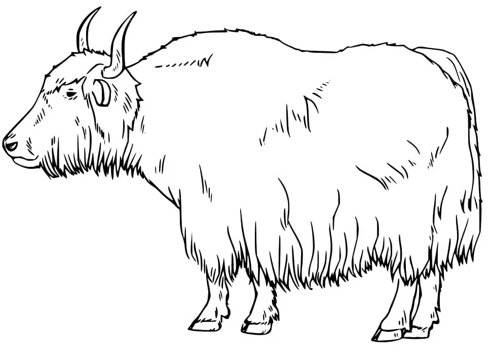 Realistic Yak