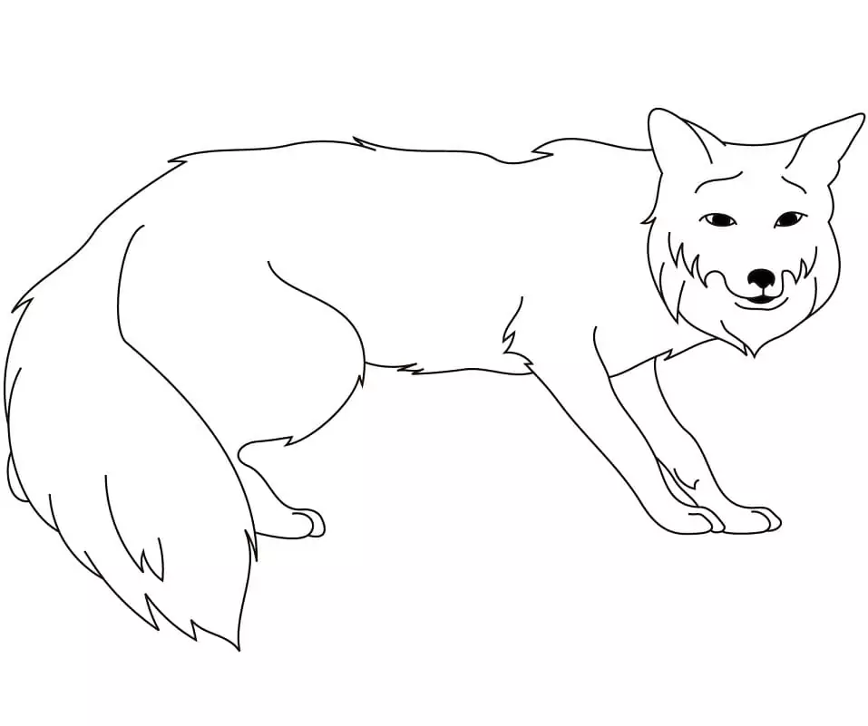 Red Fox Printable Coloring Page Free Printable Coloring Pages for Kids