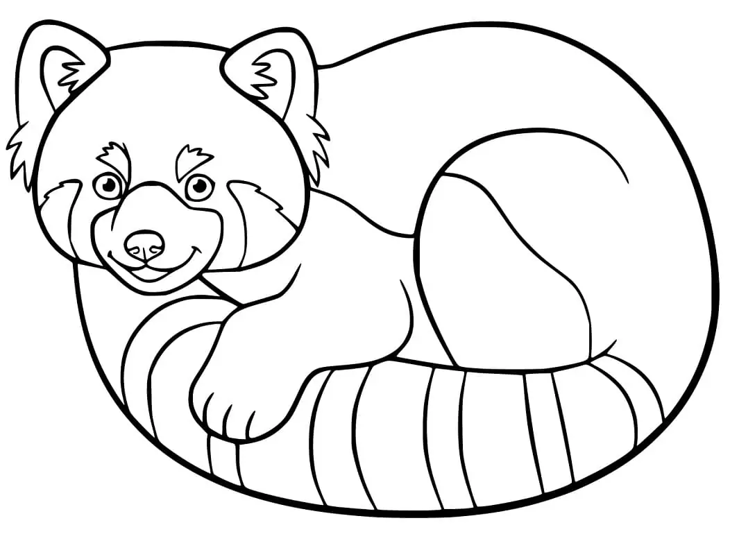 Red Panda 8 - Coloring Pages