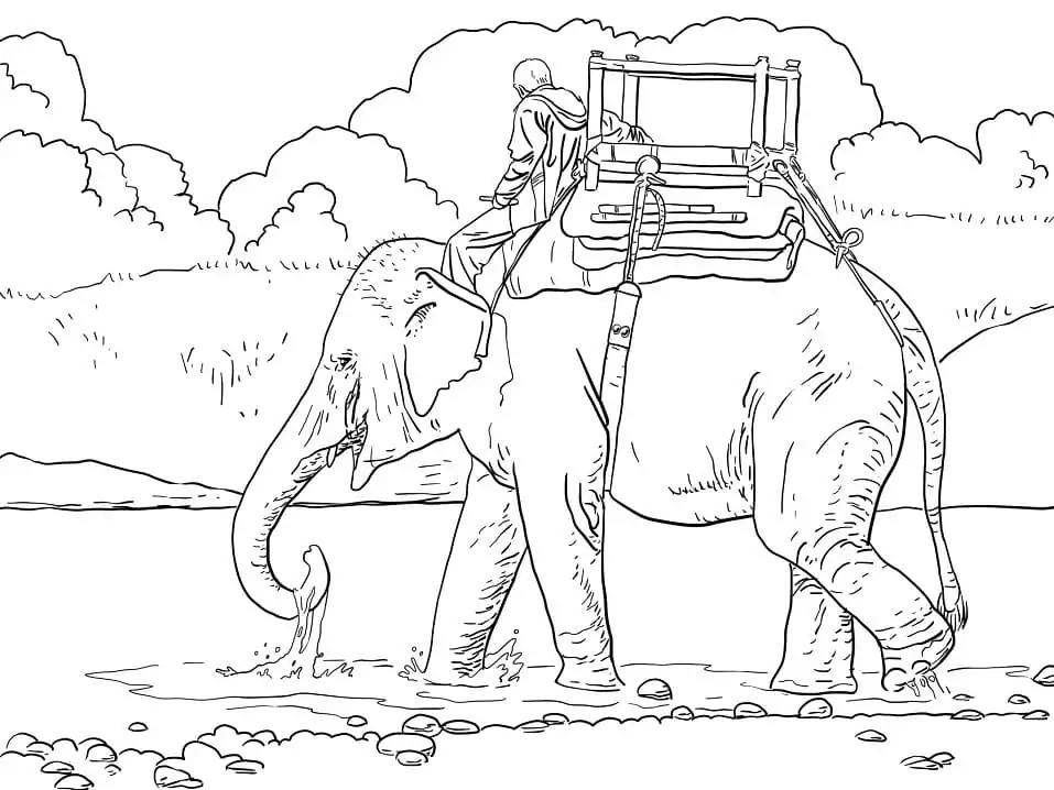 Reitender Elefant