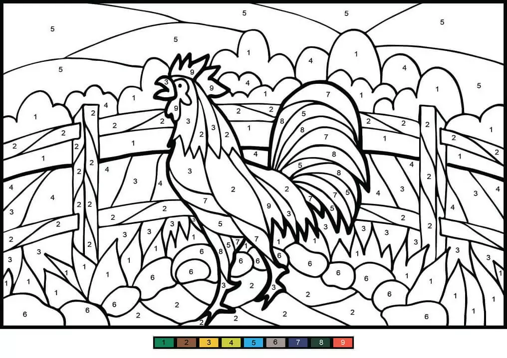 Rooster Color by Number