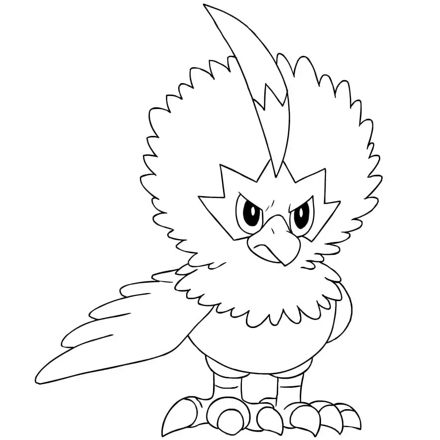 Rufflet Pokemon 1