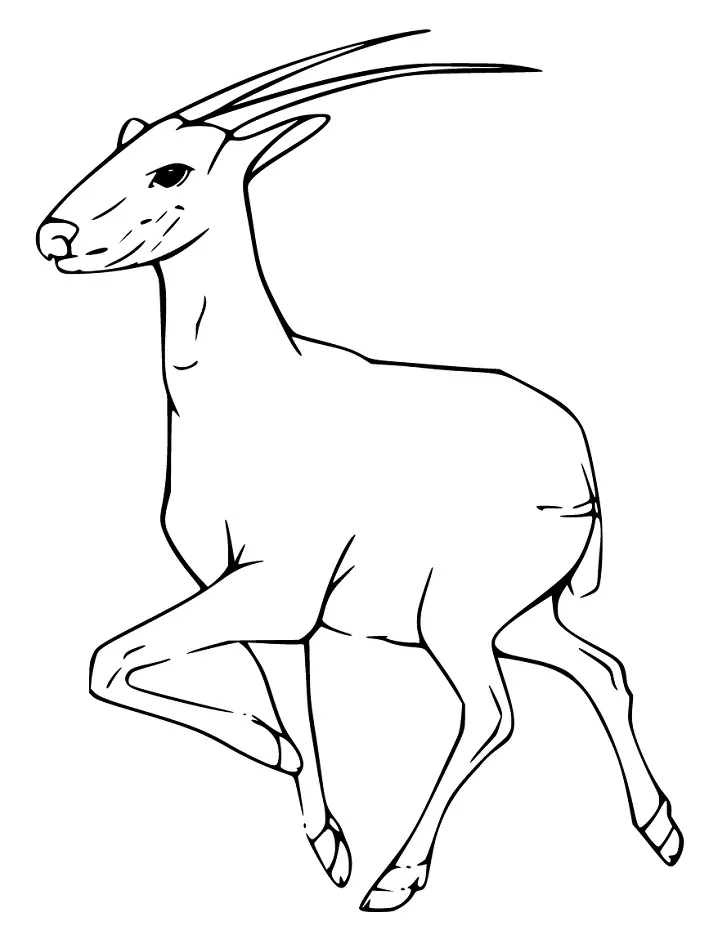 Saola Coloring Page