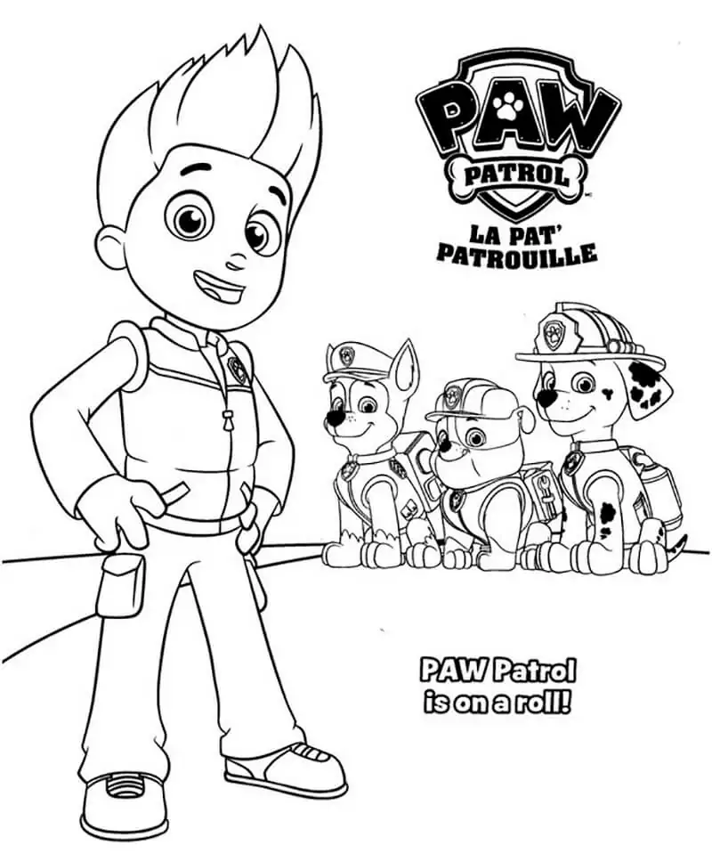Ryder Paw Patrol 5