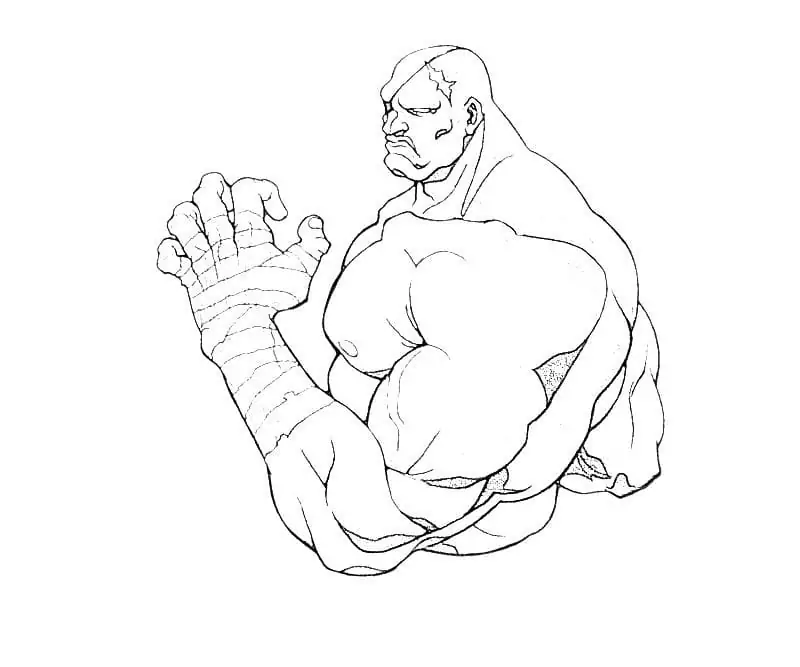 Sagat from Street Fighter