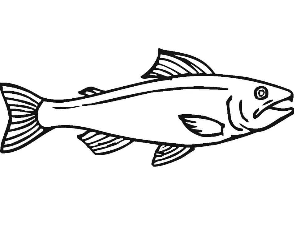 Normal Salmon Coloring Page - Free Printable Coloring Pages for Kids