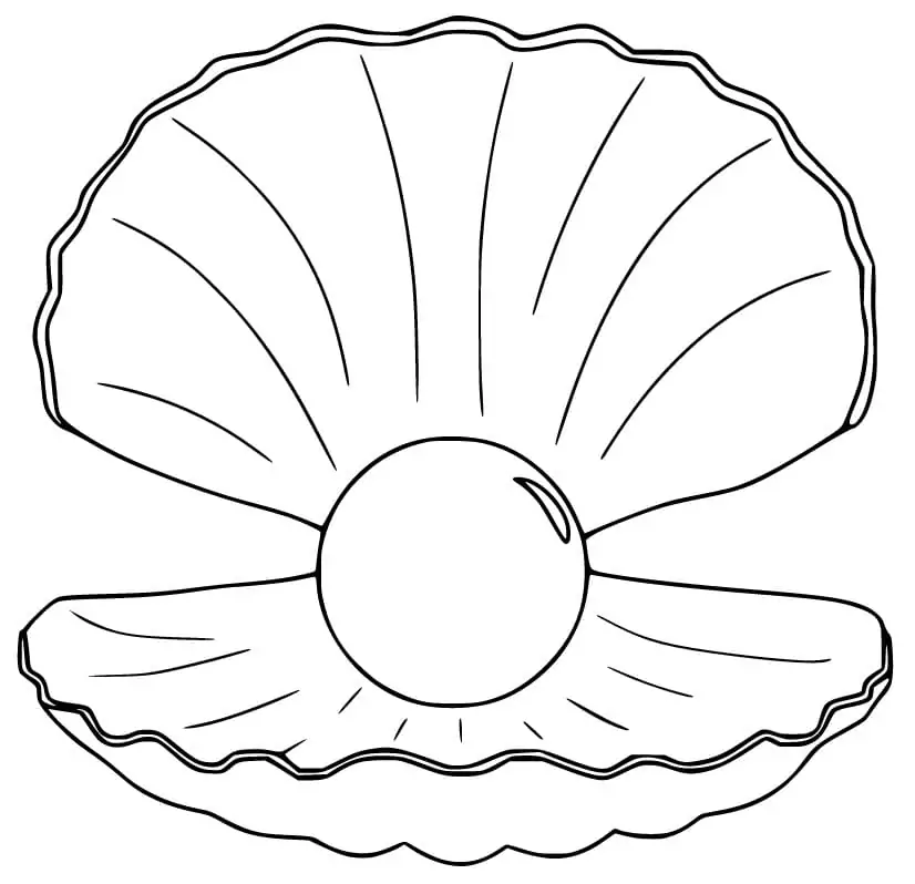 Scallop with Big Pearl