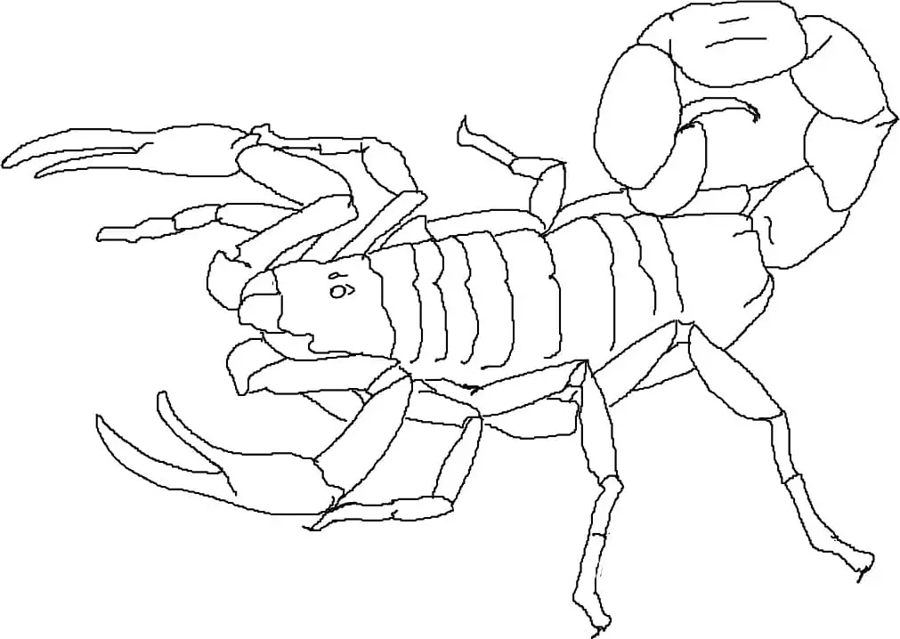 Scorpion Printable