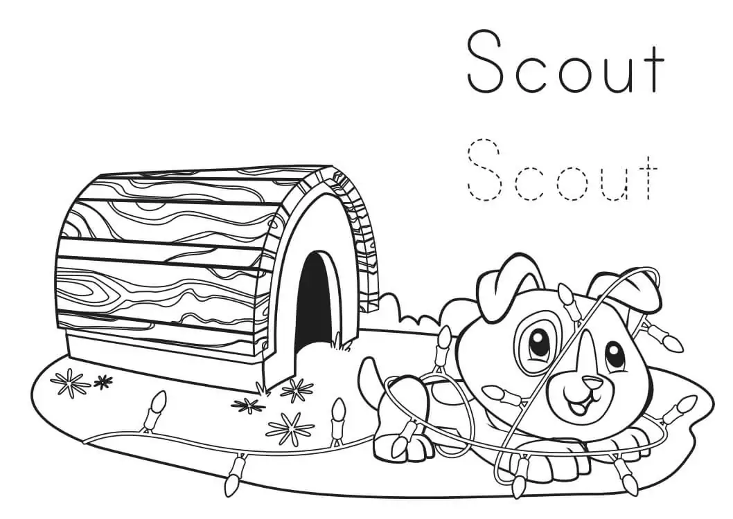 Scout from Leapfrog