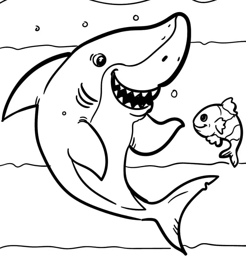 Shark and Fish