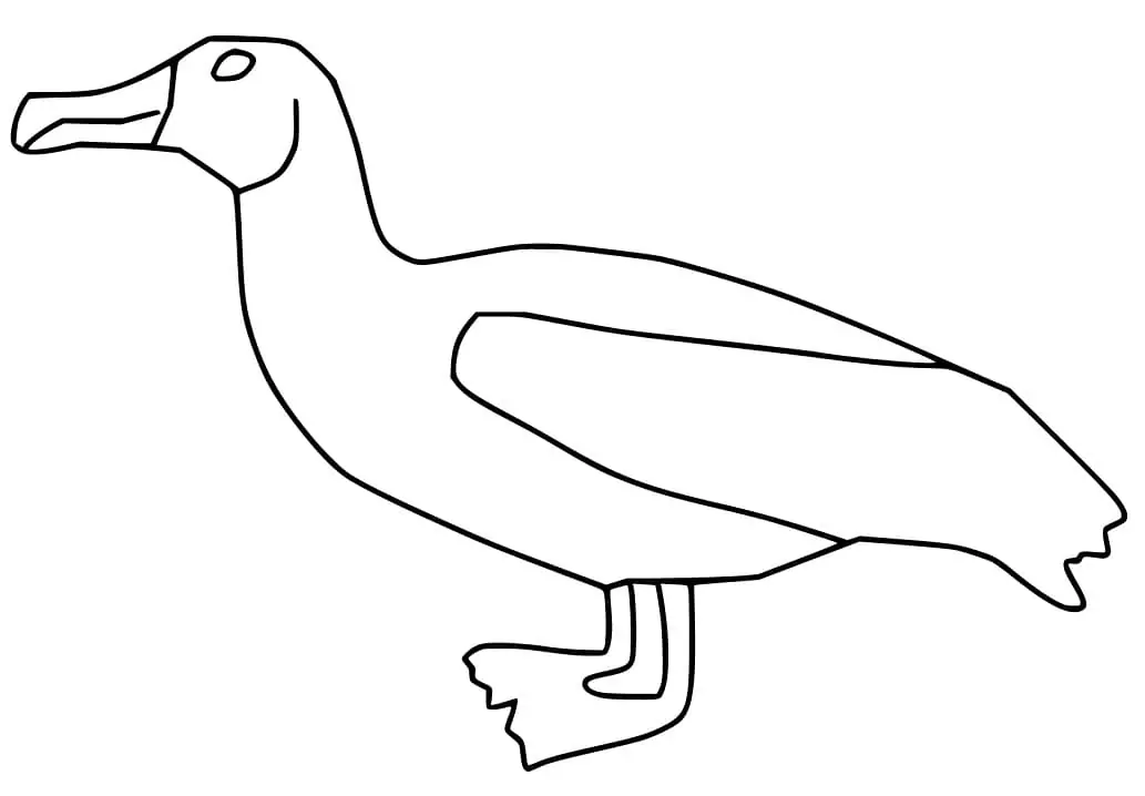 Simple Albatross