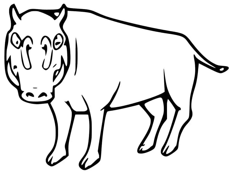 Wild Babirusa Coloring Page - Free Printable Coloring Pages for Kids