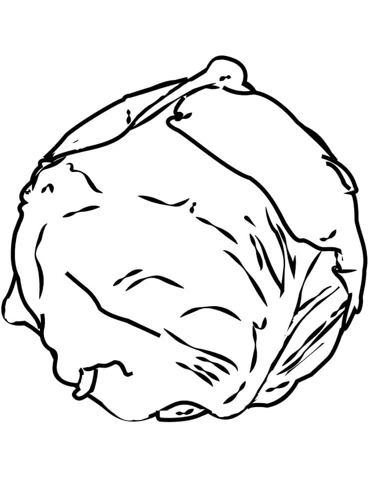 Simple Cabbage 2