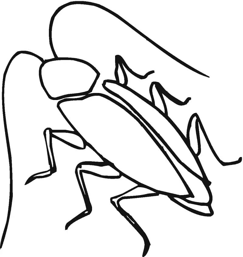 Simple Cockroach