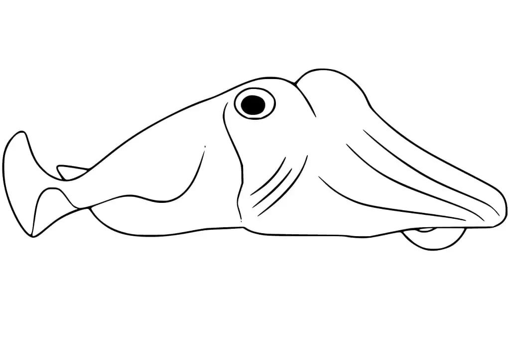 Simple Cuttlefish