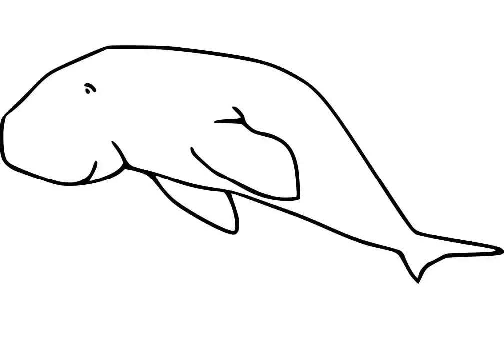 Simple Dugong